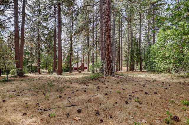 17201 Old Mill Rd, Nevada City, CA 95959