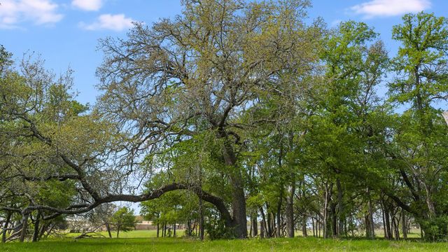 3680 County Road 245, Florence, TX 76527