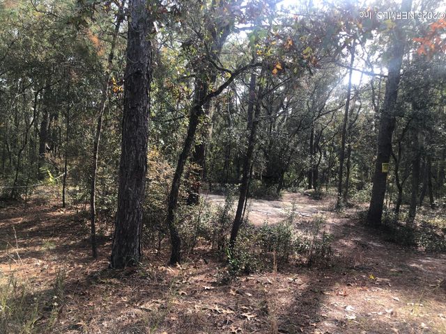 105 NEVADA Drive, Satsuma, FL 32189