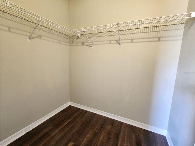 13404 IRONTON DRIVE, Tampa, FL 33626