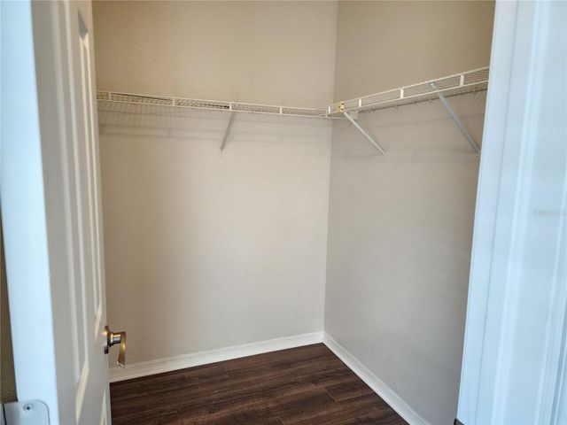 13404 IRONTON DRIVE, Tampa, FL 33626