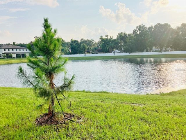 6199 SHINER STREET, Land O Lakes, FL 34638