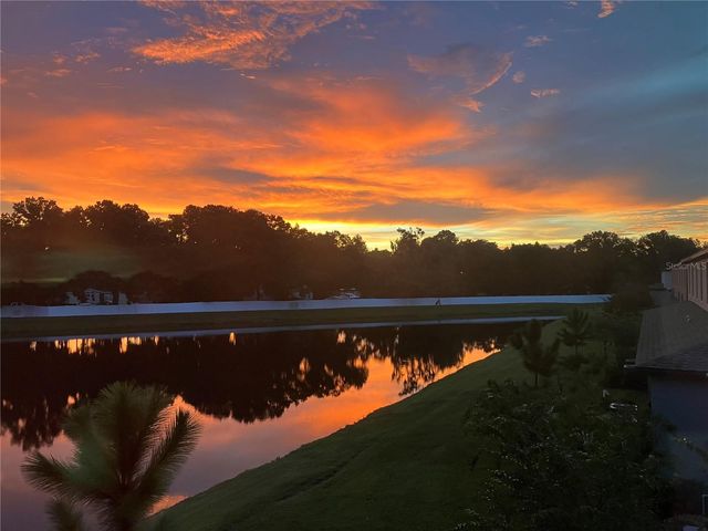 6199 SHINER STREET, Land O Lakes, FL 34638