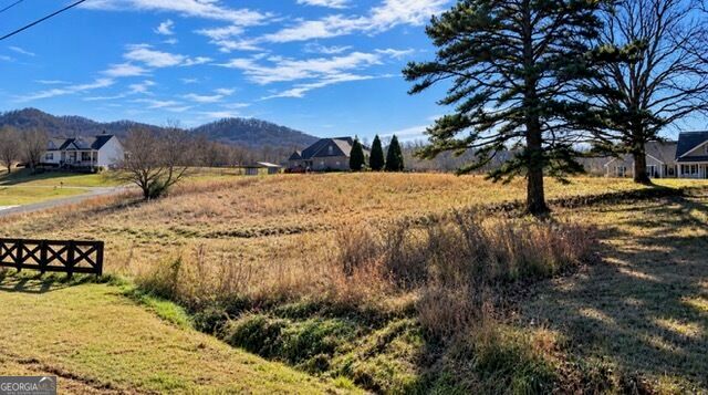 LOT 20 Gumlog Road, Blairsville, GA 30512