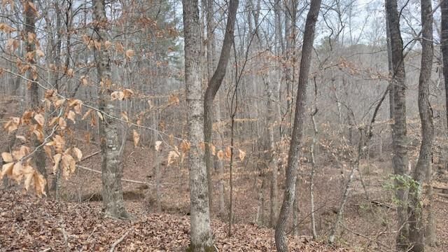 00Lot4 N Helton Road, Winston, GA 30187