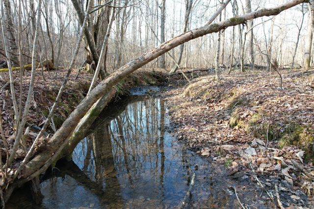 8790 Virgil H Goode Hwy, Rocky Mount, VA 24151