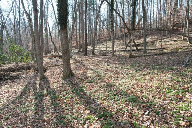 8790 Virgil H Goode Hwy, Rocky Mount, VA 24151