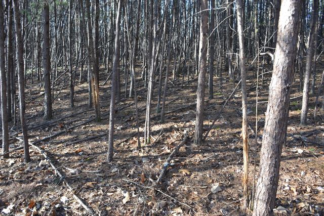 8790 Virgil H Goode Hwy, Rocky Mount, VA 24151