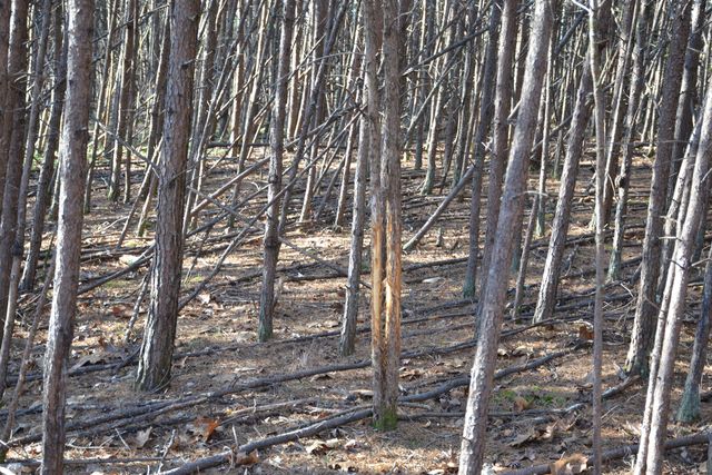 8790 Virgil H Goode Hwy, Rocky Mount, VA 24151