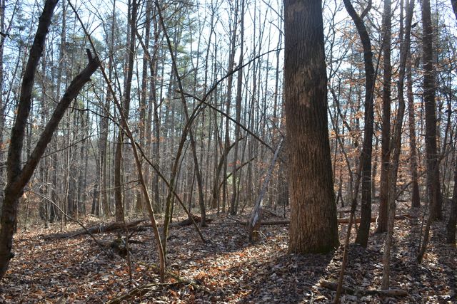 8790 Virgil H Goode Hwy, Rocky Mount, VA 24151