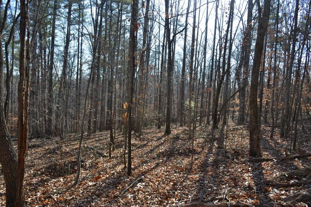 8790 Virgil H Goode Hwy, Rocky Mount, VA 24151