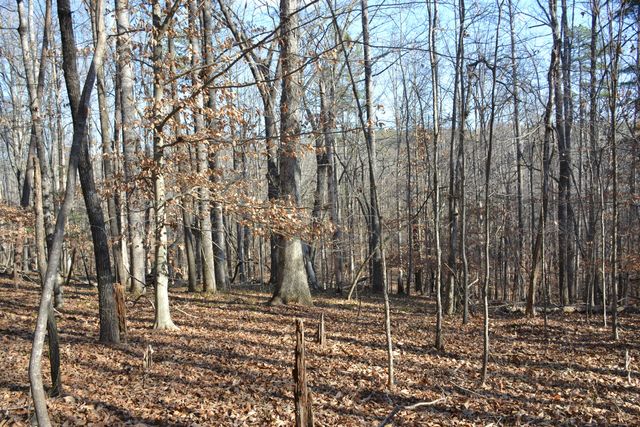 8790 Virgil H Goode Hwy, Rocky Mount, VA 24151