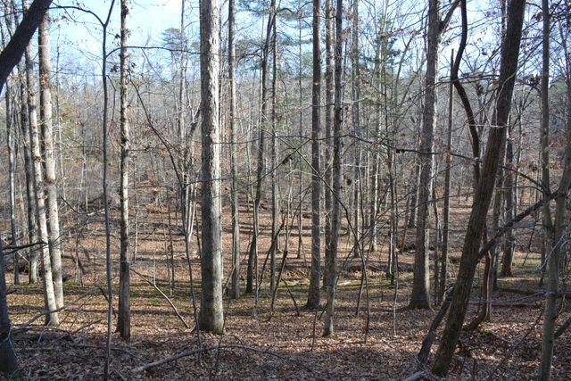 8790 Virgil H Goode Hwy, Rocky Mount, VA 24151