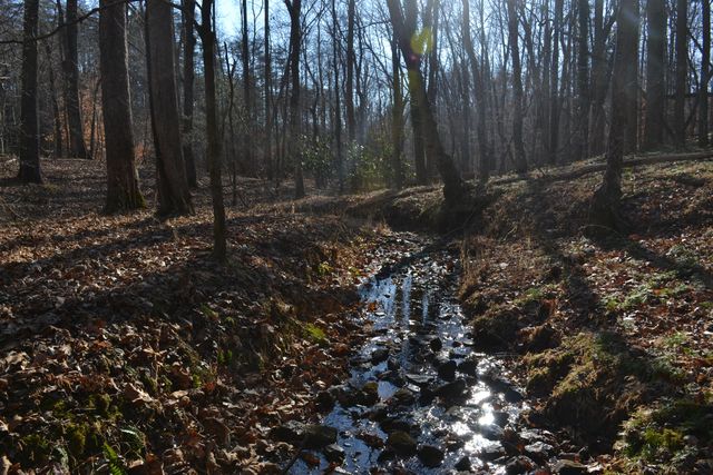 8790 Virgil H Goode Hwy, Rocky Mount, VA 24151