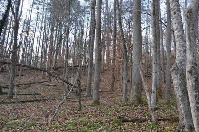 8790 Virgil H Goode Hwy, Rocky Mount, VA 24151