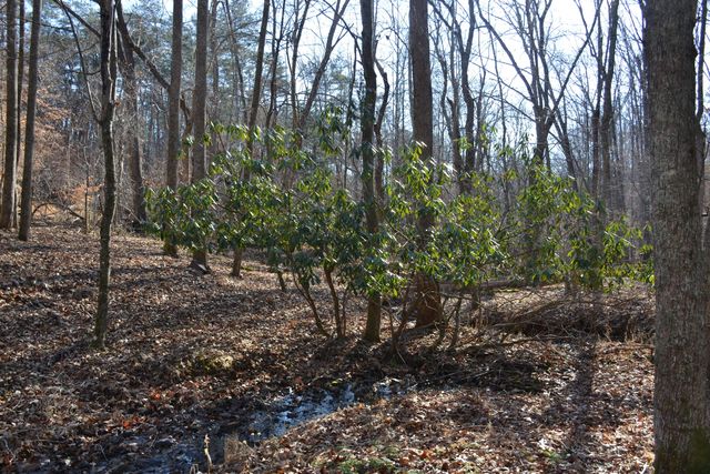 8790 Virgil H Goode Hwy, Rocky Mount, VA 24151