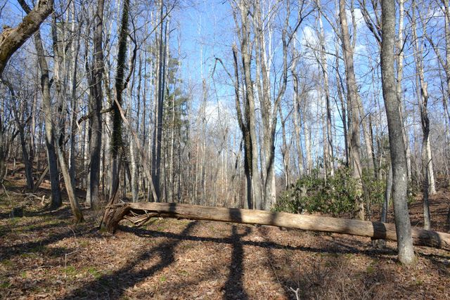 8790 Virgil H Goode Hwy, Rocky Mount, VA 24151