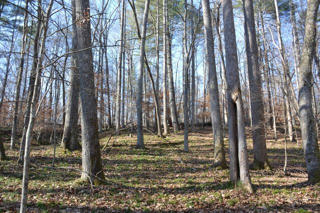 8790 Virgil H Goode Hwy, Rocky Mount, VA 24151