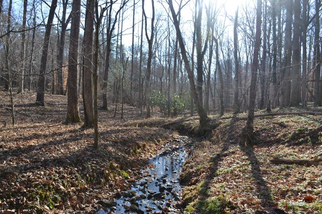 8790 Virgil H Goode Hwy, Rocky Mount, VA 24151