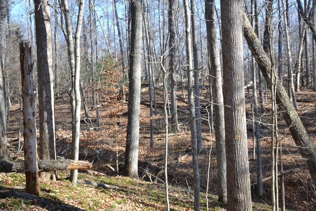 8790 Virgil H Goode Hwy, Rocky Mount, VA 24151