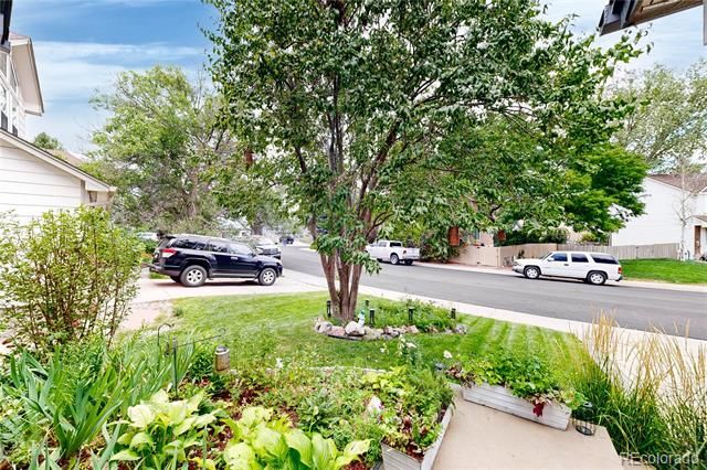 17206 Niwot Place, Parker, CO 80134