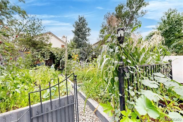 17206 Niwot Place, Parker, CO 80134