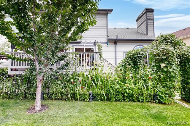17206 Niwot Place, Parker, CO 80134