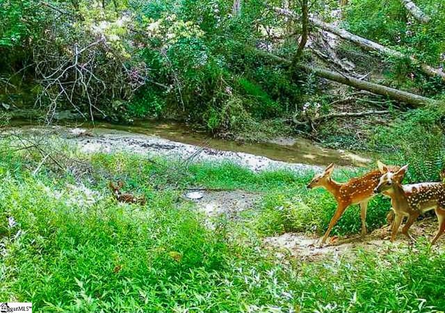 104 Harpers Ferry Court, Simpsonville, SC 29681