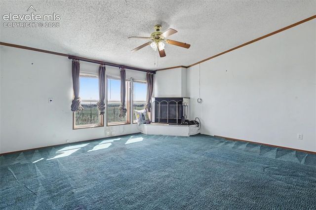 11770 Tracy Lane, Peyton, CO 80831