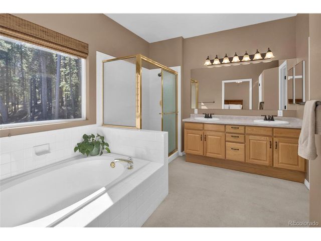 220 Timber Rd, Black Hawk, CO 80422