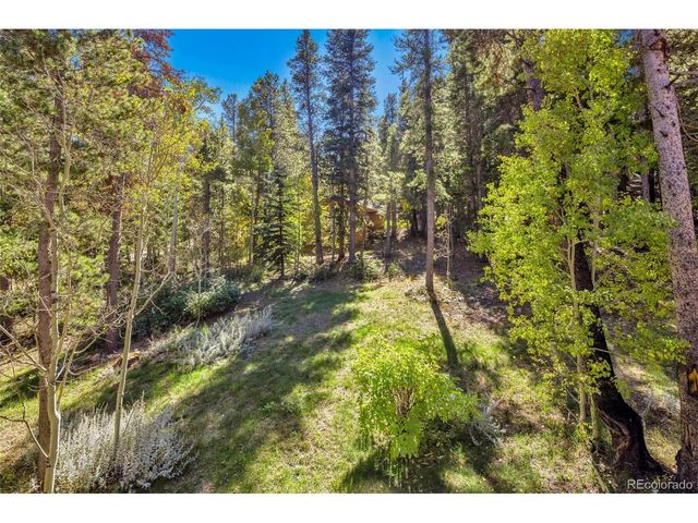 220 Timber Rd, Black Hawk, CO 80422