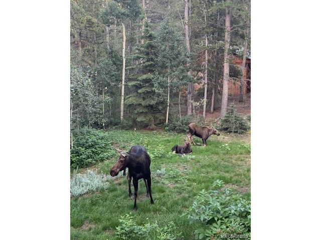 220 Timber Rd, Black Hawk, CO 80422