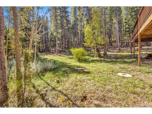 220 Timber Rd, Black Hawk, CO 80422