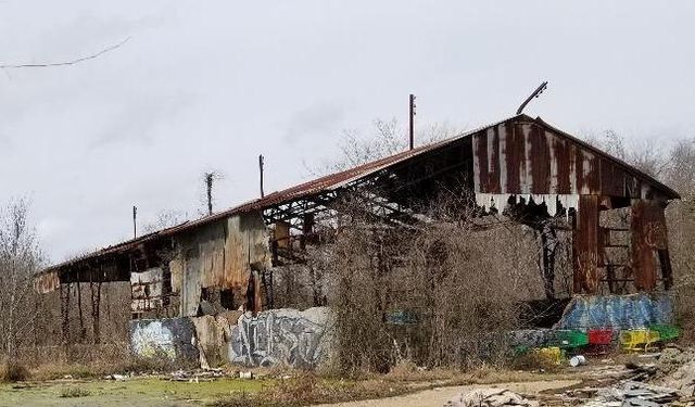 3705 Jensen, Houston, TX 77026