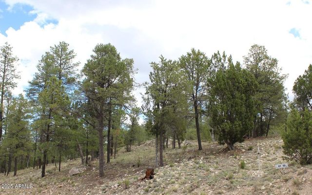 3339 Sawmill Ridge Loop -- 97, Heber, AZ 85928