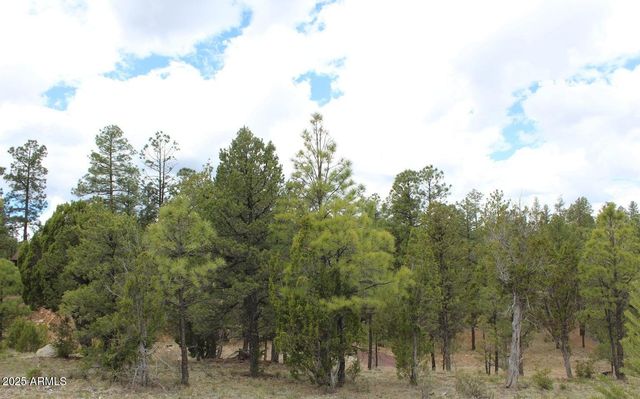 3339 Sawmill Ridge Loop -- 97, Heber, AZ 85928