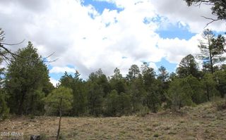 3339 Sawmill Ridge Loop -- 97, Heber, AZ 85928