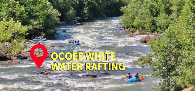 497 Horns Creek Road, Old Fort, TN 37362