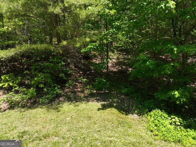 59 St Andrews Way, Ellijay, GA 30536