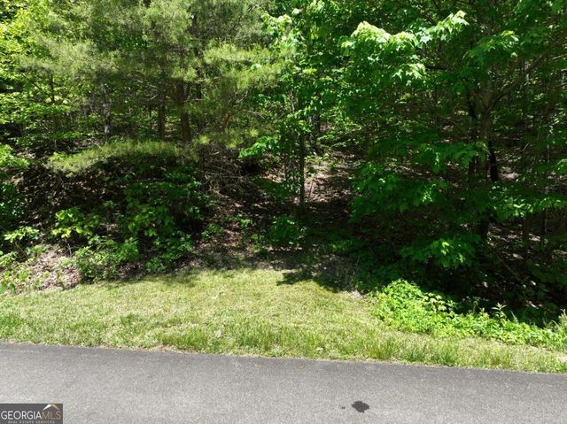 59 St Andrews Way, Ellijay, GA 30536