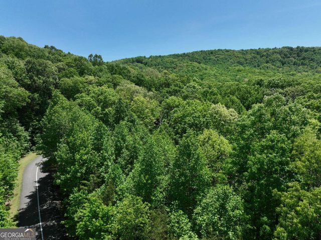 59 St Andrews Way, Ellijay, GA 30536