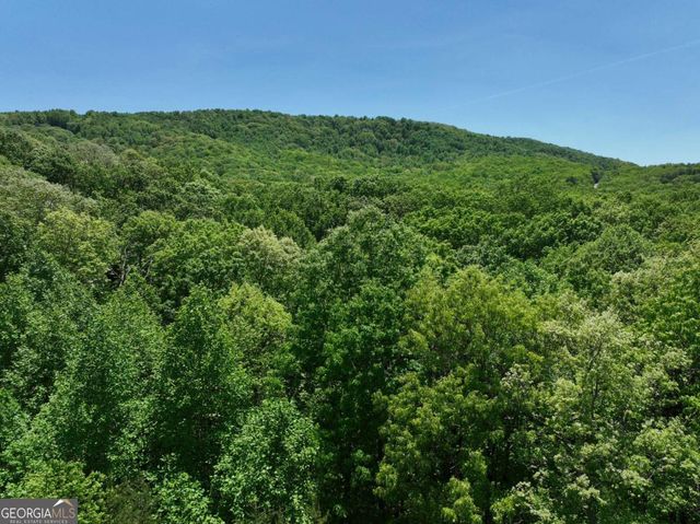 59 St Andrews Way, Ellijay, GA 30536