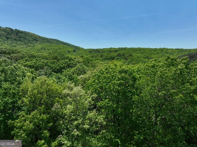 59 St Andrews Way, Ellijay, GA 30536