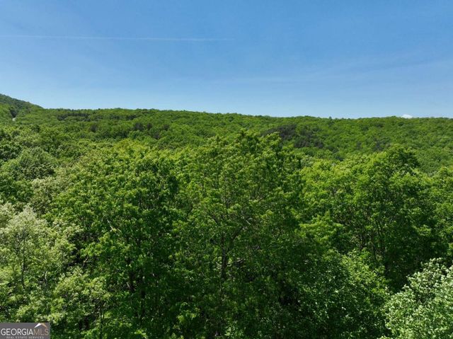 59 St Andrews Way, Ellijay, GA 30536