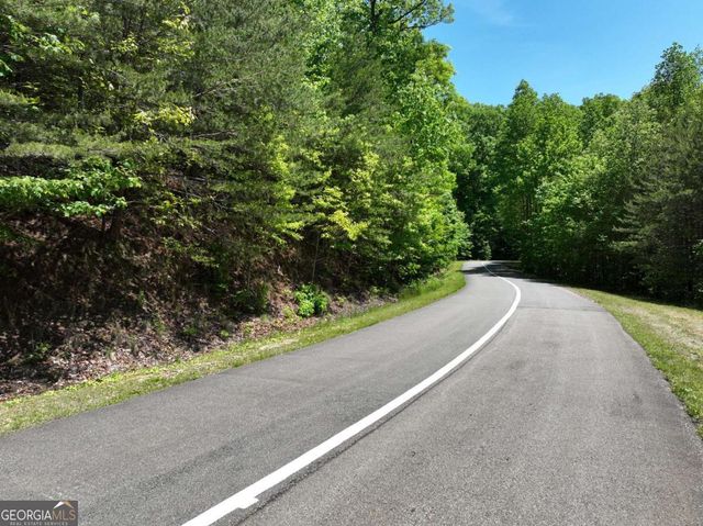 59 St Andrews Way, Ellijay, GA 30536