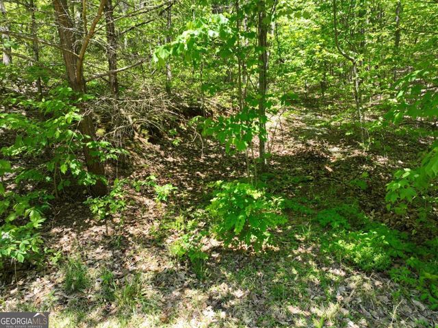 59 St Andrews Way, Ellijay, GA 30536