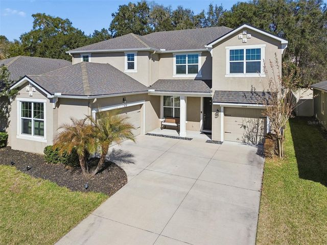 2604 VALLEY SUNSET LANE, Valrico, FL 33594