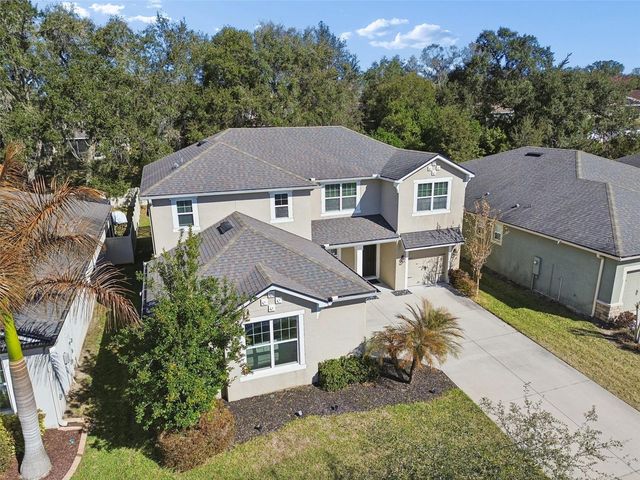 2604 VALLEY SUNSET LANE, Valrico, FL 33594