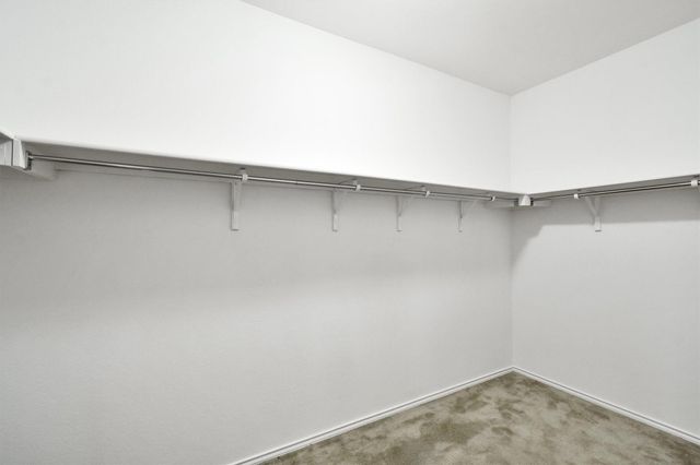 8084 Gato LN, Round Rock, TX 78665