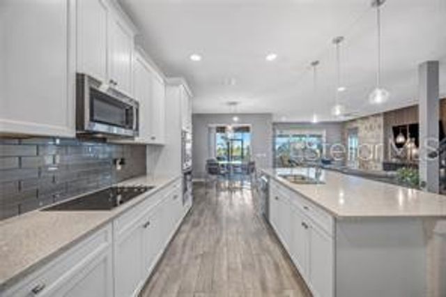 32455 SAPNA CHIME DRIVE, Wesley Chapel, FL 33545